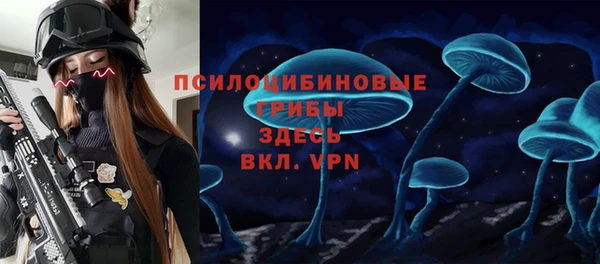 ГАЛЛЮЦИНОГЕННЫЕ ГРИБЫ Аркадак