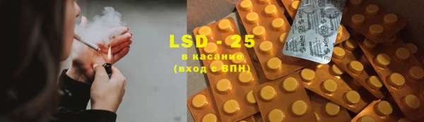 ГАЛЛЮЦИНОГЕННЫЕ ГРИБЫ Аркадак