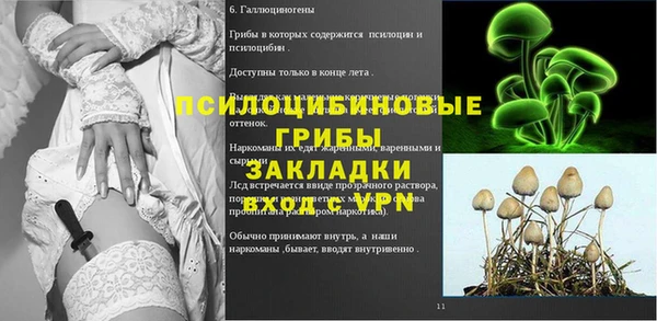 первитин Арсеньев