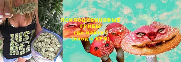 ГАЛЛЮЦИНОГЕННЫЕ ГРИБЫ Аркадак