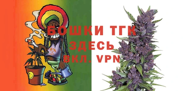 ГАЛЛЮЦИНОГЕННЫЕ ГРИБЫ Аркадак