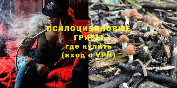 первитин Арсеньев