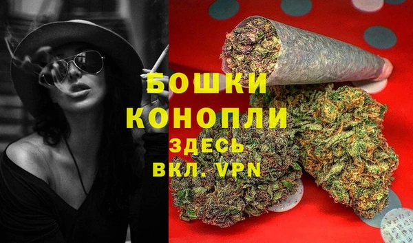 ГАЛЛЮЦИНОГЕННЫЕ ГРИБЫ Аркадак