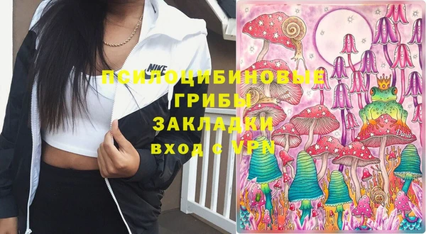 ГАЛЛЮЦИНОГЕННЫЕ ГРИБЫ Аркадак