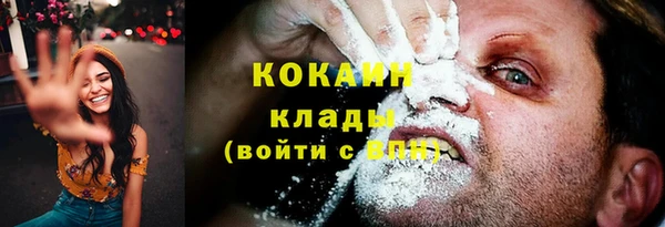 ГАЛЛЮЦИНОГЕННЫЕ ГРИБЫ Аркадак